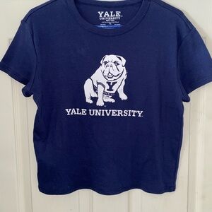 Blue and White Bulldog Dog Clothing